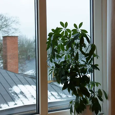Apartment Cosy In Center